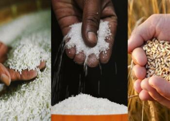 India Inflation chart