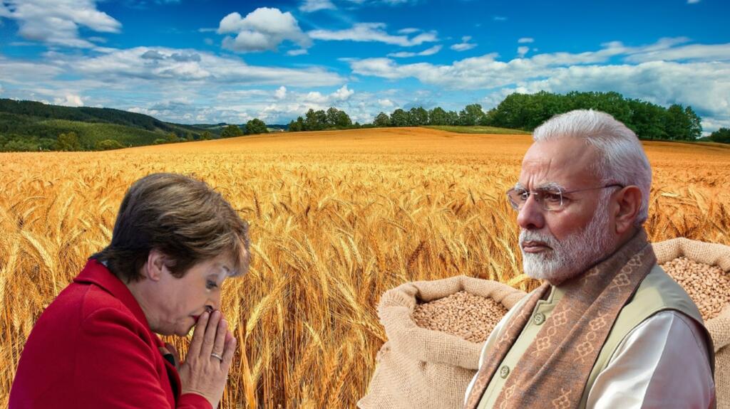 IMF India wheat