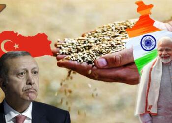 tukey wheat India