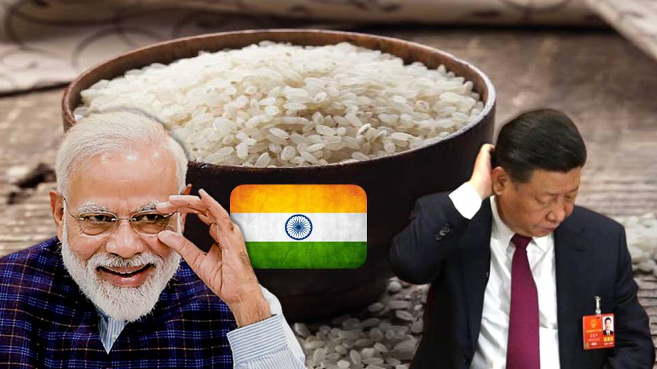 China Indian rice