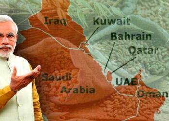 West Asia cannot survive a week without India’s support- A data-driven analysis