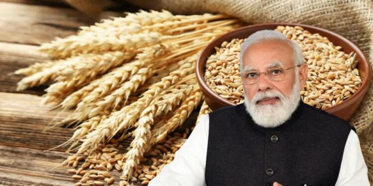Indian wheat Egypt
