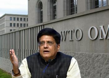 India conquers the WTO