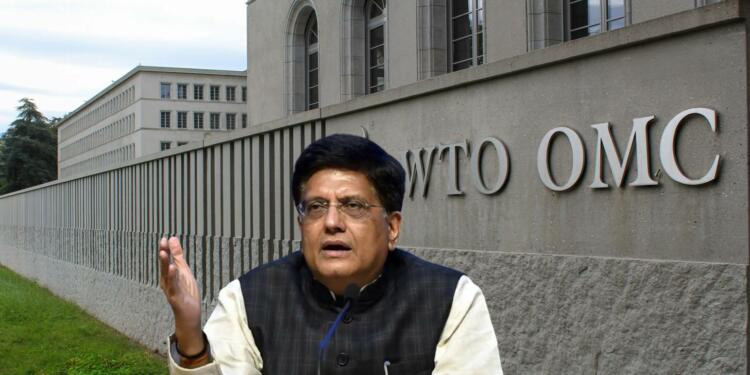 India conquers the WTO