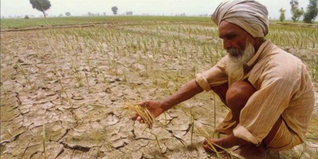 Punjab farmers debt