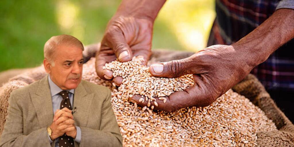 Pakistan begging wheat from India in press conference