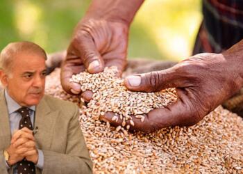 Pakistan begging wheat from India in press conference