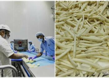 French fries Gujarat