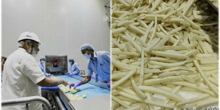 French fries Gujarat