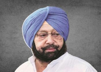 NDA Vice President
