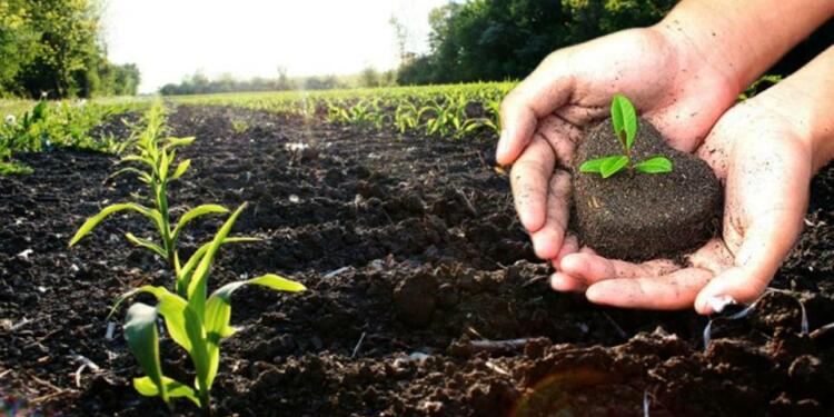 From Green Revolution to the “Evergreen” Revolution, challenges that lie ahead