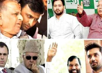 Politics is not just limited to Thackerays, Yadavs and Gandhis