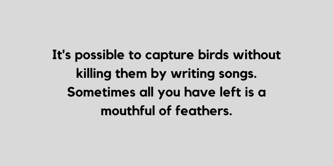 A Collection Of Feather quotes To Share With Anyone