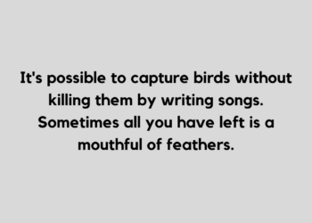 feather quotes
