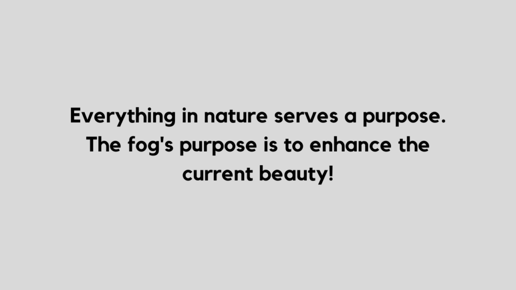 fog quote and caption