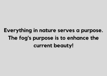 fog quote and caption