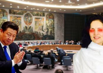 India’s envoy rips into China high on the power of UNSC chair