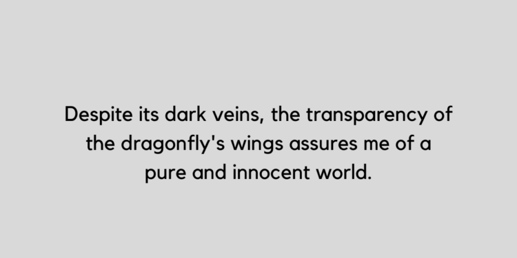 dragonfly quotes
