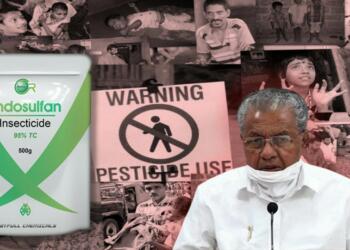 The Endosulfan tragedy: Countless deaths and many lives ruined forever