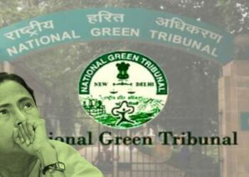 “Green loving Mamta” gets fined by  Green Tribunal for anti-green things
