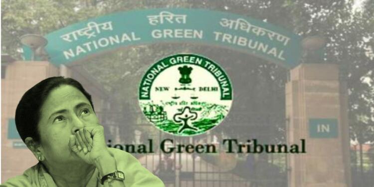“Green loving Mamta” gets fined by  Green Tribunal for anti-green things