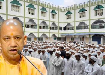 Yogi