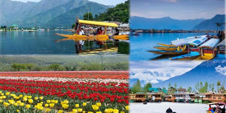 Jammu Kashmir tourists