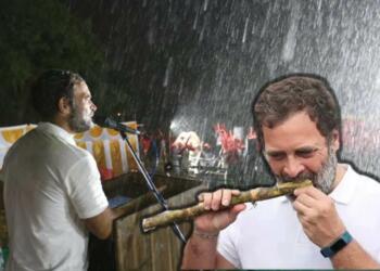 Gandhi Rahul