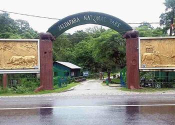 Jaldapara Wildlife Sanctuary entry gate