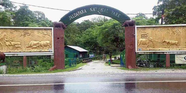 Jaldapara Wildlife Sanctuary entry gate