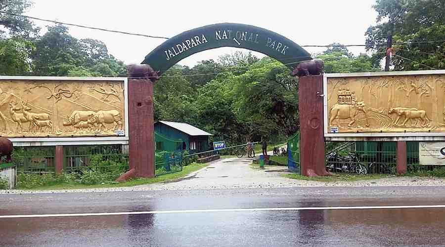Jaldapara Wildlife Sanctuary entry gate