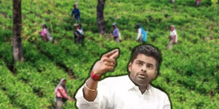 Annamalai Stalin