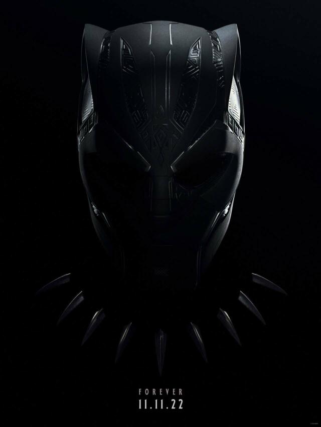 Black Panther 2 – Wakanda Forever Box office collection in India and ...