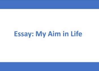 My Aim in Life essay
