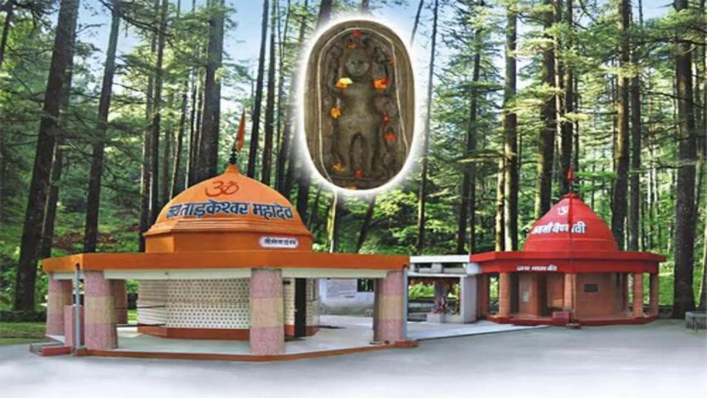 Tarakeshwar Mahadev Temple IDOL
