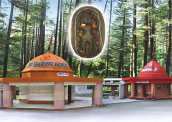 Tarakeshwar Mahadev Temple IDOL