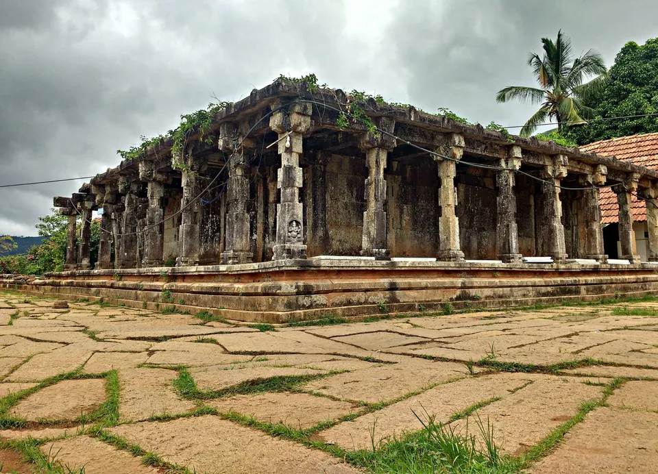 Thirunelli Temple pillars 