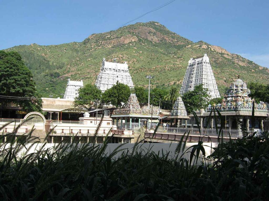 Tiruvannamalai Arunachaleshwar Temple back side