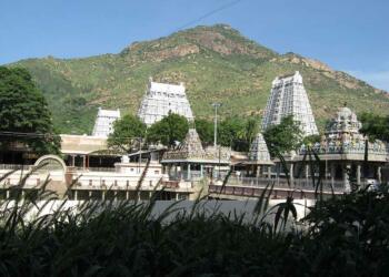 Tiruvannamalai Arunachaleshwar Temple back side