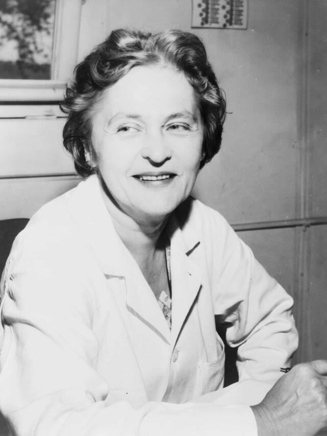 Why Google change doodle and who was Doctor Maria Telkes?