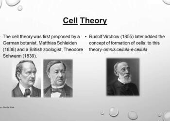 Cell theory