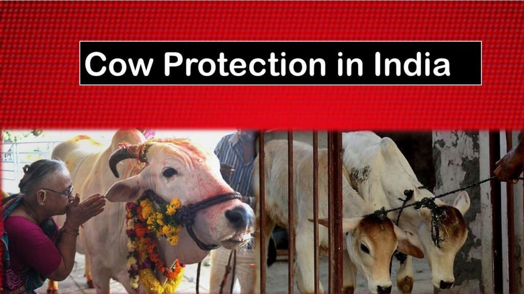 Cow Protection India