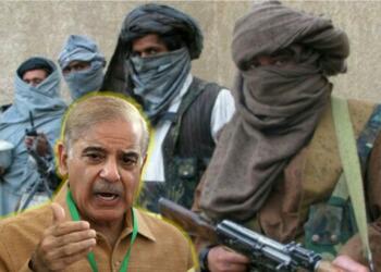 Tehreek-e-Taliban Pakistan