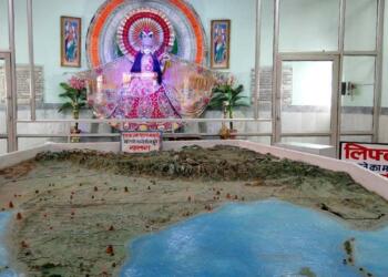 Bharat Mata Mandir IDOL