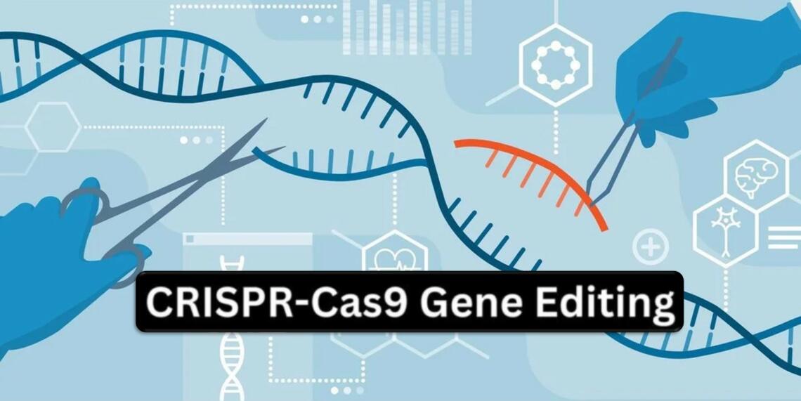 The Endless Possibilities Of Crispr Cas