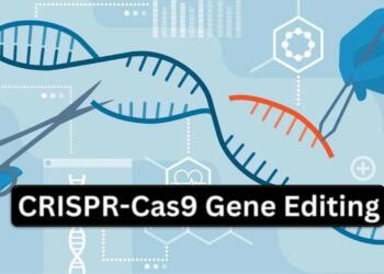 CRISPR-Cas