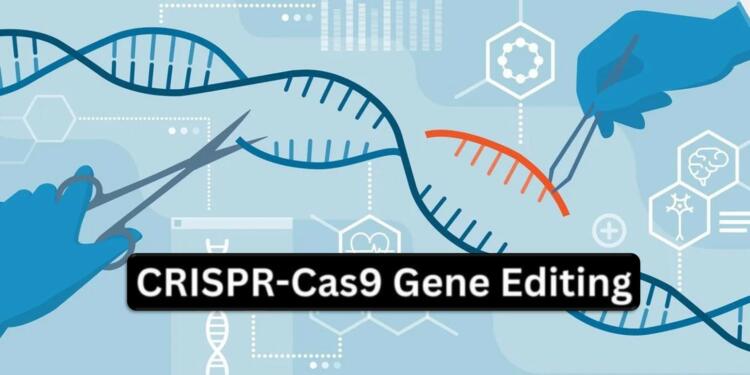 CRISPR-Cas