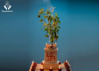 Tulsi leaves benefits