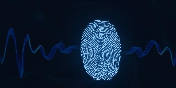 The secret science behind your fingerprints: Arches, Loops, and Whorls