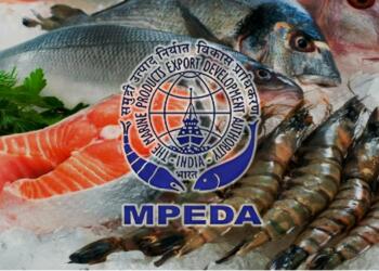 Catching the wave: India’s strategic approach to boost sea food exports